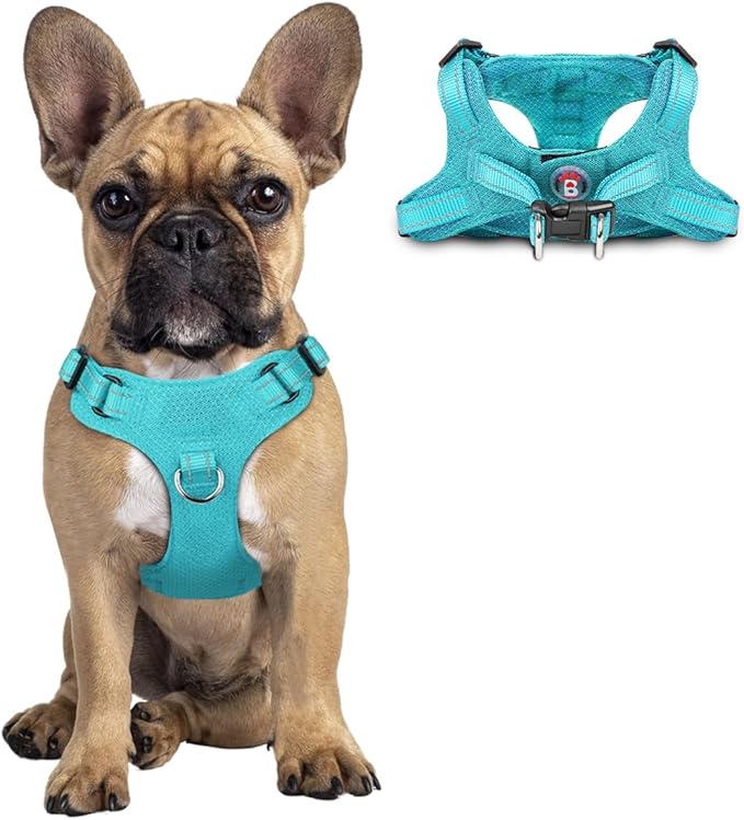 Dog Harness Step in Dog Vest Harness, Reflective Adjustable Puppy No Pull Harness Breathable Soft for Small and Medium Dogs Cats, Ocean Blue, S-Mewly Pet