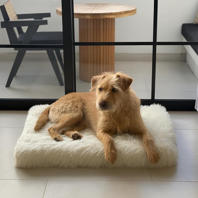 IHAPPYDOG Luxury Faux Fur Orthopedic Dog Beds, Memory Foam Crate Bed for Small, Medium, Large and XL Pets, Fluffy Pet Bed with Waterproof and Washable Cover, Fits Crates (White, 35" x 23")-Mewly Pet