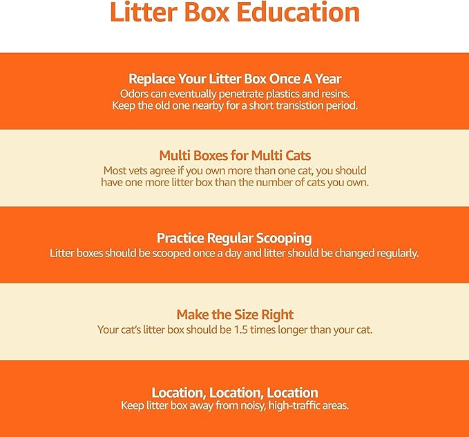 Amazon Basics Large Cat Litter Box with High Sides, Top Entry, Includes Scoop, 20.5 x 14.75 x 14.38 inches, Grey-Mewly Pet