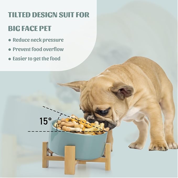 SPUNKYJUNKY 15° Slanted Ceramic Dog and Cat Bowl with Wooden Stand, Tilted Bulldog Food and Water Bowl No Slip Non-Spill for Cats Medium Dogs Big Face Pets 28.7 OZ (3.6 Cups, Light Green)-Mewly Pet