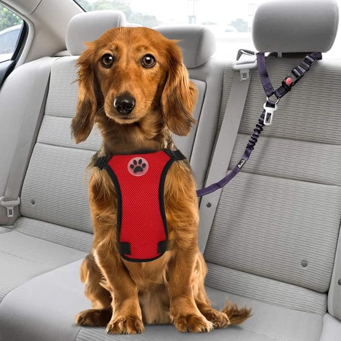 SlowTon Dog Seat Belt for Car, 2 Pack Dog Car Harness Seatbelt Adjustable with Elastic Bungee Buffer, 2 in 1 Pet Car Leash Headrest Restraint Dog Reflective Safety Tether (Purple, Headrest+Clip)-Mewly Pet