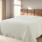 Cuddly Twin Size Blanket, Fluffy Fleece, Warm & Soft with Striped Pattern, 66x90 Inches, Cream