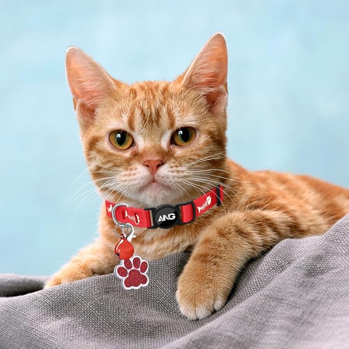 Personalized Breakaway Cat Collars Glow-in-The-Dark with ID Tag, Bell - Safety Quick - Release, Customizable for Female Male Kittens & Cats (Red)-Mewly Pet