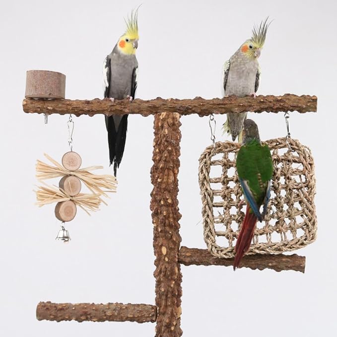 Natural Wood Parrot Stand - Ideal Toy & Accessory for Parakeets, Canaries, Cockatiels, Conure, Lovebirds - Bird Perch Stand with Removable Tray Climbing Net Chewing Toys- Perfect Pet Birds Playstand-Mewly Pet
