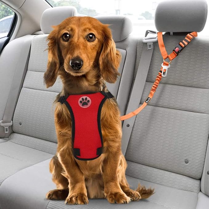 SlowTon Dog Seat Belt for Car, 2 Pack Dog Car Harness Seatbelt Adjustable with Elastic Bungee Buffer, 2 in 1 Pet Car Leash Headrest Restraint Dog Reflective Safety Tether (Orange, Headrest+Clip)-Mewly Pet