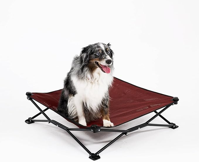 Coolaroo On-The-Go Elevated Dog Bed - Foldable Pop-Up Travel Dog Bed with Breathable, Moisture-Resistant Fabric, Carry Bag Included, Lightweight & Portable, Brick, Medium-Mewly Pet