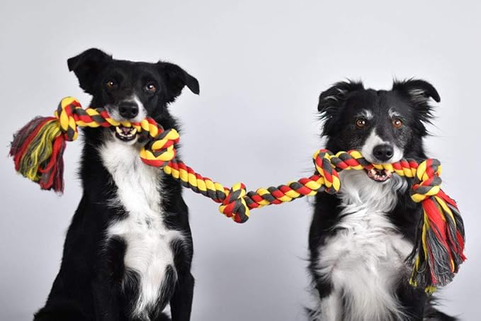 Mammoth Flossy Chews Color Rope Tug – Premium Cotton-Poly Tug Toy for Dogs – Interactive Dog Rope Toy – Tug Dog Chew Toy-Mewly Pet