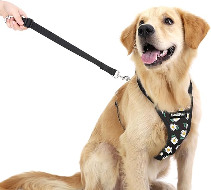 Dog Seat Belt, Safety Vest Dog Car Harness with Adjustable Buckle Dog Seat Belt for Vehicle Nylon Pet Safety Seat Belts Heavy Duty(S, Black Daisy)-Mewly Pet