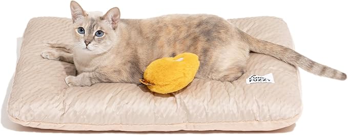 FUNNY FUZZY 2 in 1 Dog Bed Crate Pad Mat, Washable Reversible Pet Floor Mats,Fluffy Kennel Pad for Small Large Sized Dog,Indoor Cats,Sleeping Mattress, 23.6" × 17.9", Beige-Mewly Pet