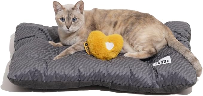 FUNNY FUZZY 24x18 Washable Dog Bed Reversible Crate Mat, 2 in1 Orthopedic Puppy Bed for Small Dogs/Cats, Fluffy Deluxe Kennel Mattress,Sleeping Pad,Charcoal Grey,S-Mewly Pet