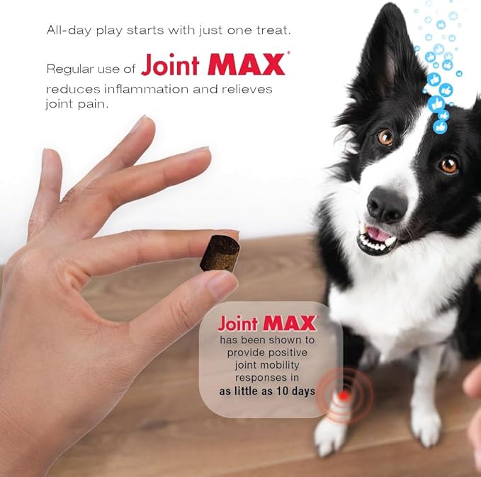 PHS Joint MAX Triple Strength (TS) Soft Chews for Dogs - Glucosamine, Chondroitin, MSM, Turmeric, Omega 3 - Hip and Joint Pain Relief and Support for Dogs - Made in USA - 30 Soft Chews-Mewly Pet