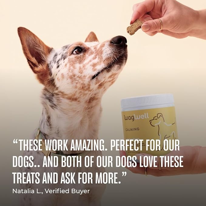 WagWell Calming Chews for Dogs – Vet-formulated Anxiety Relief for Dogs to Reduce Stressful Situations Like Travel or Fireworks – Separation Anxiety Relief for Dogs to Ease Stress & Promote Relaxation-Mewly Pet