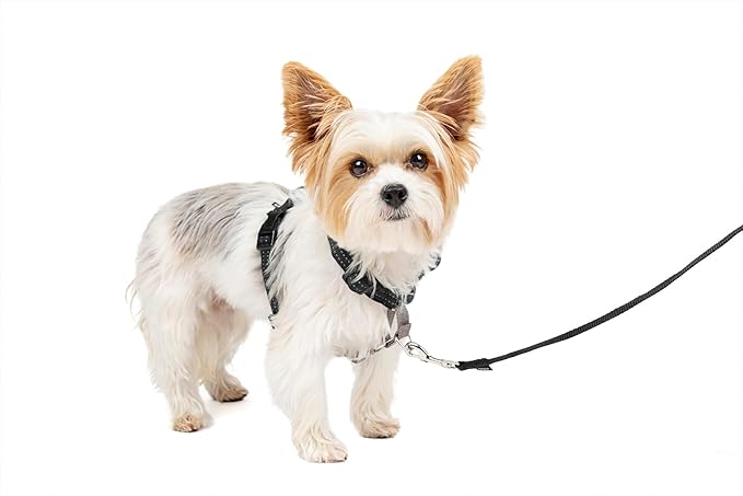 PetSafe 3 in 1 Dog Harness - No Pull Solution for Dogs - Reflective Dog Harness - Front D-Ring Clip Helps Stop Pulling - Comfortable Padded Straps - Top Handle Enhances Control - Black - Extra Small-Mewly Pet