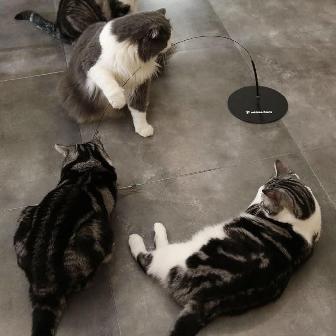 Weighted Base (Interactive Bird Simulation Cat Toy)-Mewly Pet