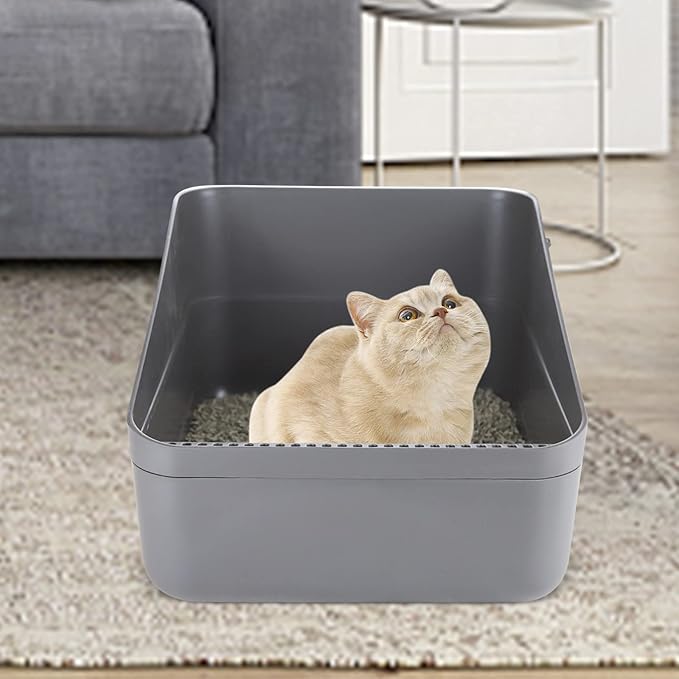 Sfozstra Open Top Litter Box: Grey Medium Removable Liner - Secure and Odor Control - Durable High Side Sifting Litter Box for Small Cats-Mewly Pet