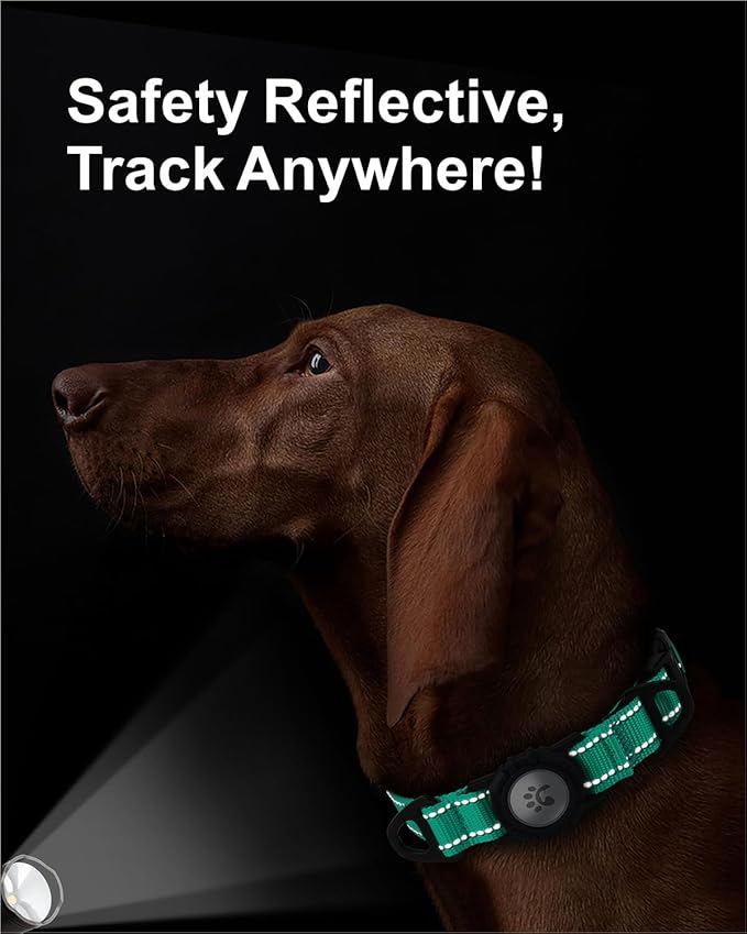 TagME Airtag Dog Collar,Waterproof Reflective Pet Collar with Airtag Holder,Soft Padded and Double D-Rings for Large Dogs,Turquoise-Mewly Pet