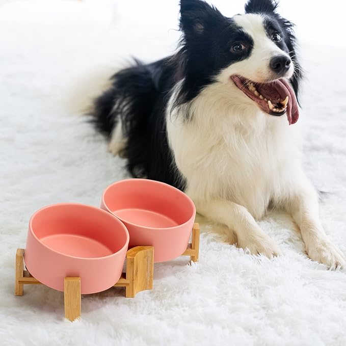 SPUNKYJUNKY 15° Slanted Ceramic Dog and Cat Bowl with Wooden Stand, Tilted Bulldog Food and Water Bowl No Slip Non-Spill for Cats Medium Dogs Big Face Pets 28.7 OZ (3.6 Cups, Pink × 2)-Mewly Pet