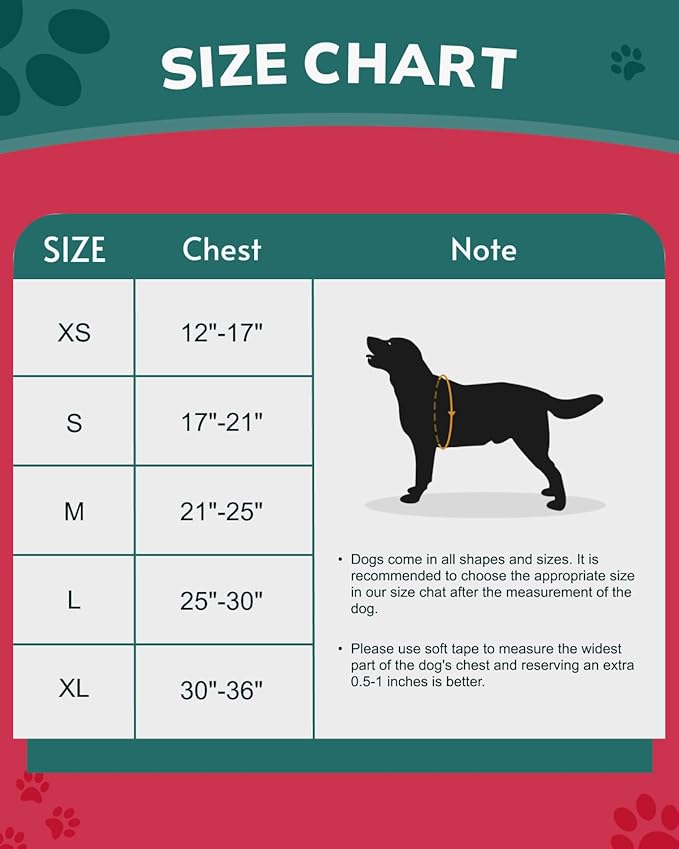 MIDOG No-Pull Dog Harness | Adjustable & Reflective Pet Harness Leash Set for Small Medium Large Dogs Walking, Training| No Choke, Front Clip, Soft Padded Vest with Easy Control Handle - Red, XS-Mewly Pet