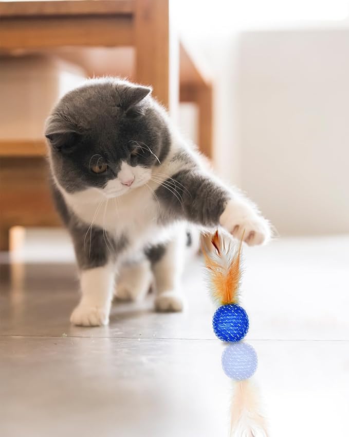 PET SHOW 10 Pack Cat Toys - Woolen Yarn Cat Balls, Interactive Mesh Feather Ball, String Toy for Indoor Cats, Chase Training Activity for Kittens-Mewly Pet