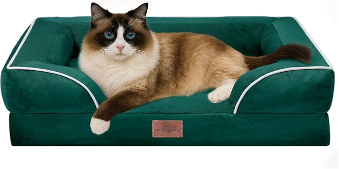 Comfort Expression Small Dog Beds Waterproof Cat Beds Orthopedic Foam Sofa Beds for Small Dogs Comfy Pet Bed with Washable Removable Cover & Non-Slip Bottom(XX-Small,Emerald)-Mewly Pet