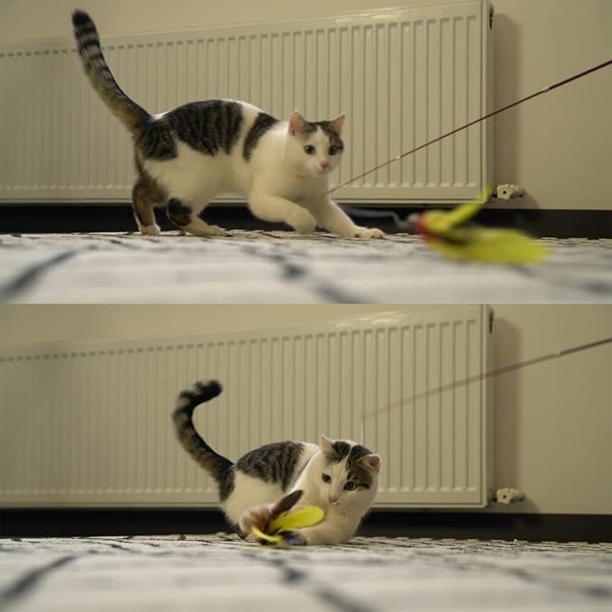 11PCS Cat Feather Toys Refills, 10PCS Feathers and 1PC String, Interactive Cat Wand Toy Replacement for Bored Indoor Adult Cats & Kittens-Mewly Pet