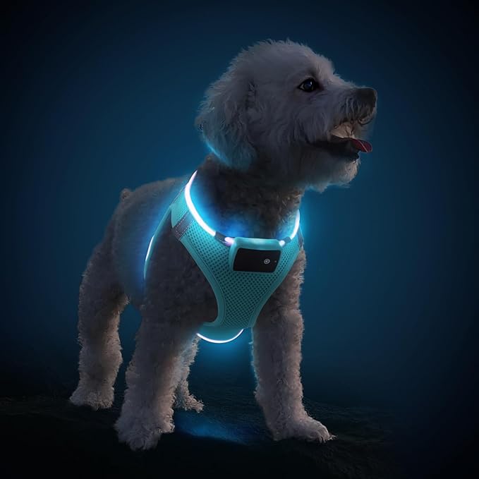 PceoTllar Light Up Dog Harness, LED No Pull Reflective Dog Harness, Flashing Lighted for Night Walking - Small/Medium, (Blue L)-Mewly Pet