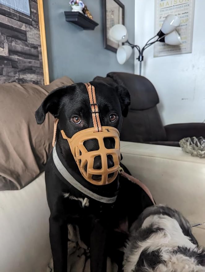 Mayerzon Dog Muzzle, Breathable Basket Muzzles for Small, Medium, Large and X-Large Aggressive Dogs Beagle German Shepherd Doberman, Cage Mouth Guard Stop Biting Chewing for Grooming Training-Mewly Pet