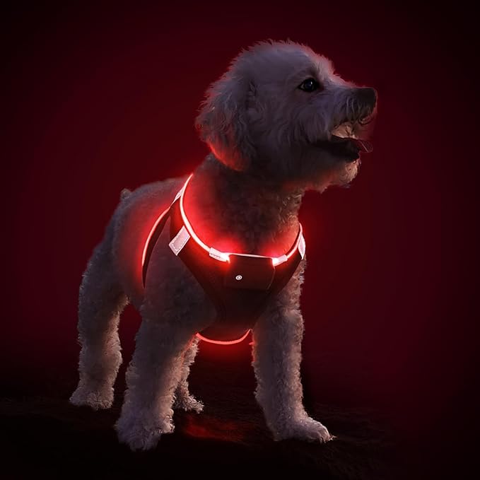 PceoTllar Light Up Dog Harness, LED No Pull Reflective Dog Harness, Flashing Lighted for Night Walking - Small/Medium, (Black Red,L)-Mewly Pet