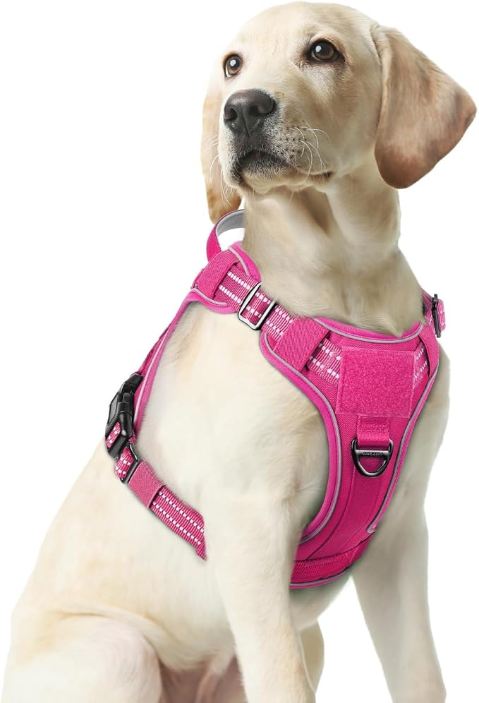 rabbitgoo Dog Harness Medium Sized No Pull, Tactical Service Pet Vest with Molle and Control Handle, Adjustable and Reflective Military Harness for Easy Walking and Training, Rose Red, M-Mewly Pet