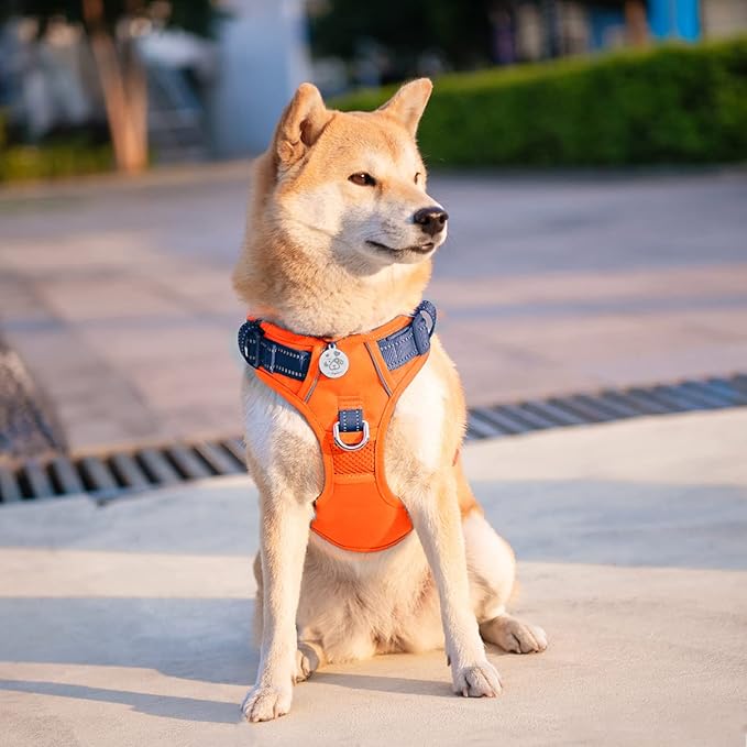 PHOEPET No Pull Dog Harness, Unique Colors Reflective Adjustable Dog Vest, with Soft Training Handle Metal Clips for Small Medium Large Dogs (Orange Base & Blue Straps,S)-Mewly Pet