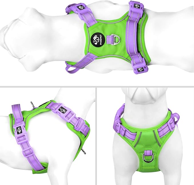PHOEPET No Pull Dog Harness, Unique Colors Reflective Adjustable Dog Vest, with Soft Training Handle Metal Clips for Small Medium Large Dogs (Green Base & Purple Straps,XL)-Mewly Pet