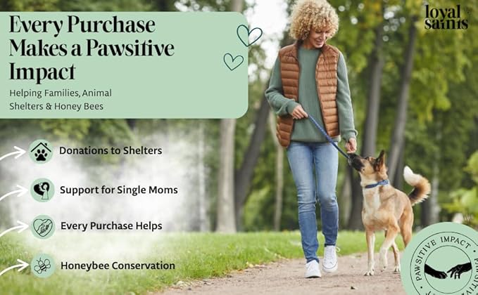 Freeze Dried Raw Dog Food - Premium Beef Flavor with High Protein and Grain Free Dog Food for Small or Large Breeds and Picky Eaters - Versatile as Meal Topper, Snack, and Treats, 14 Oz-Mewly Pet