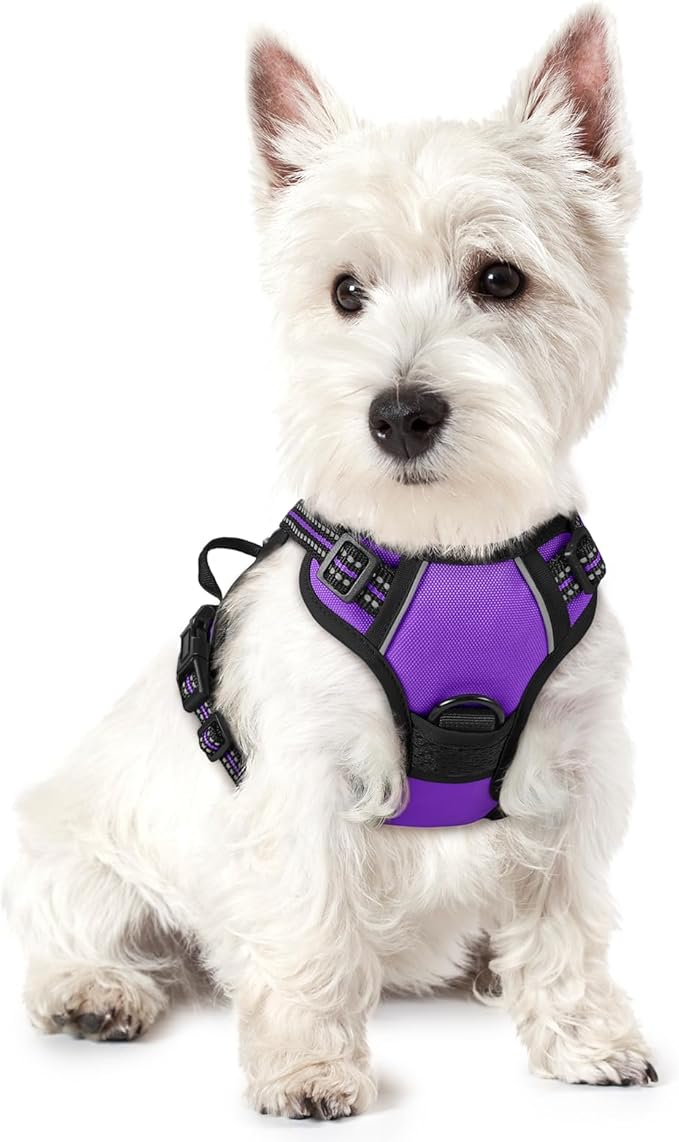 rabbitgoo Dog Harness No Pull with 2 Leash Clips, Adjustable Soft Padded, Reflective Oxford No Choke Pet Vest with Easy Control Handle for Puppy, Purple,XS-Mewly Pet