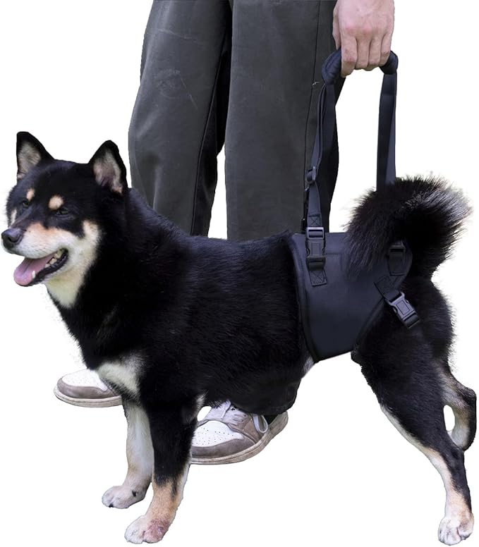 Dog Lift Harness for Dogs with Disabled Arthritis and Weak Back Legs, humanized Design with Comfortable Materials, Adjustable Back Legs and Straps, Suitable for Helping Dogs to Recover and Walk. (S)-Mewly Pet
