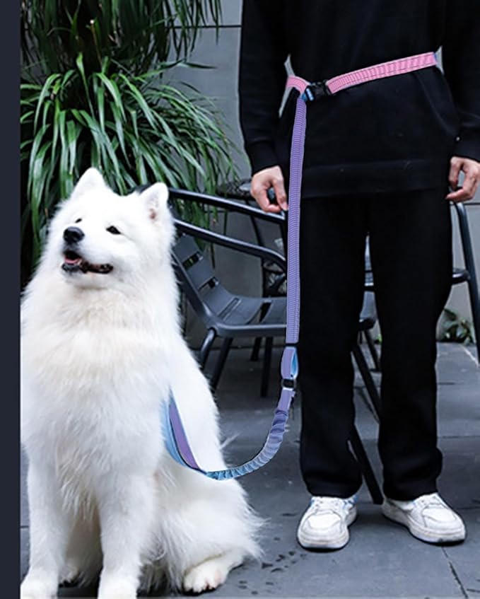 Hands Free Dog Leash for Large Medium Dogs Heavy Duty Bungee Reflective Adjustable Waist Leashes for Walking Running with Car Buckle 4-6FT (Purple)-Mewly Pet