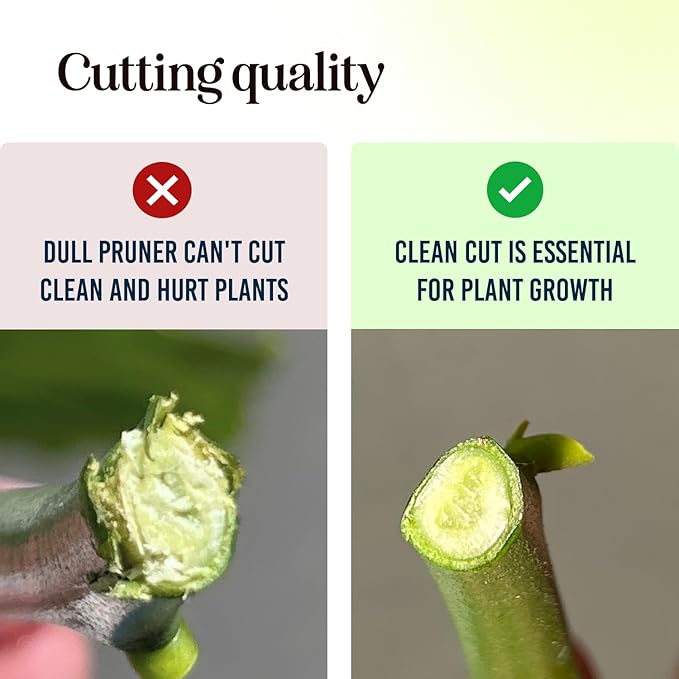 Ultra Sharp Pruning Shears Hedge Clipper – Cuts 3X Easier, Dual-Size Opening, Weak Hand Arthritis Clippers, Rust-Resistant Pruner, Effortlessly Cuts-Mewly Pet