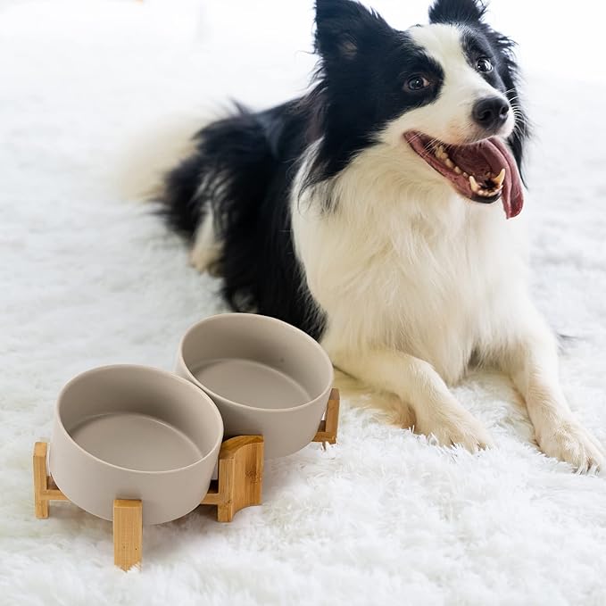 SPUNKYJUNKY 15° Slanted Ceramic Dog and Cat Bowl with Wooden Stand, Tilted Bulldog Food and Water Bowl No Slip Non-Spill for Cats Medium Dogs Big Face Pets 28.7 OZ (3.6 Cups, Grey × 2)-Mewly Pet