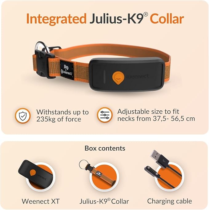 Weenect Dog XT - New GPS Collar for Dogs | XL Antenna | Waterproof | Ultra-Durable Integrated Julius-K9 Collar | Subscription Required-Mewly Pet