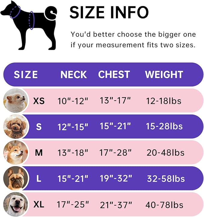 IVY&LANE No Pull Dog Harness for Medium Dogs, Dog Vest Harness with Leash, Safety Belt and Storage Strap, Fully Adjustable Harness, 360° Reflective Strip, Soft Handle (Purple, M)-Mewly Pet