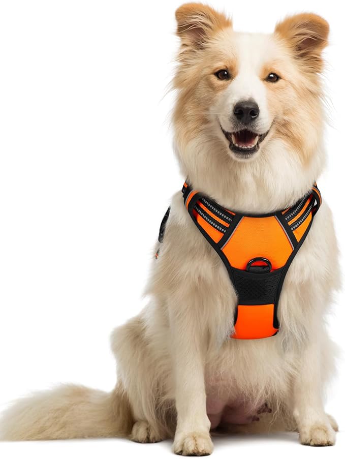 rabbitgoo Dog Harness No Pull with 2 Leash Clips, Adjustable Soft Padded, Reflective Oxford No Choke Pet Vest with Easy Control Handle for Medium Sized Dogs,Orange, M-Mewly Pet