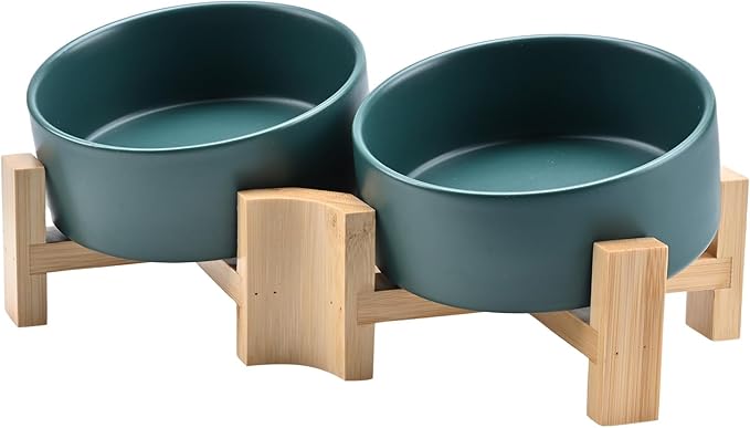 SPUNKYJUNKY 15° Slanted Ceramic Dog and Cat Bowl with Wooden Stand, Tilted Bulldog Food and Water Bowl No Slip Non-Spill for Cats Medium Dogs Big Face Pets 13.5 OZ (1.7 Cups, Green × 2)-Mewly Pet