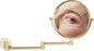 DOWRY 8-Inch Double-Sided Wall Mounted Makeup Mirror with 10x Magnification,14.4-Inch Extension,Gold Finish 1305J(8in,10x)