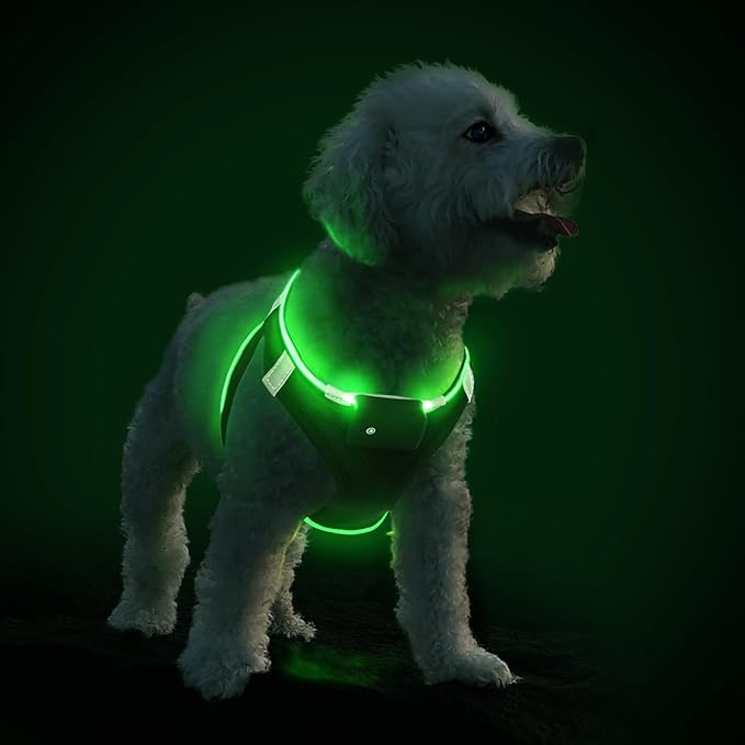 PceoTllar Light Up Dog Harness, LED No Pull Reflective Dog Harness, Flashing Lighted for Night Walking - Small/Medium, (Black Green,m)-Mewly Pet