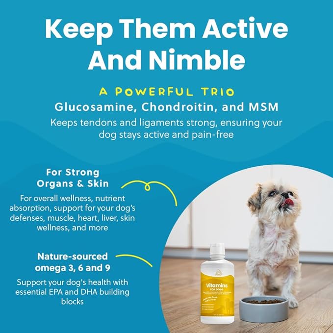 Liquid Multivitamin for Dogs with Probiotics, 8 in 1 Vitamins for Immune Support, Energy & Digestion, High Absorption Liquid Dog Supplement, Made in USA, 32 oz-Mewly Pet