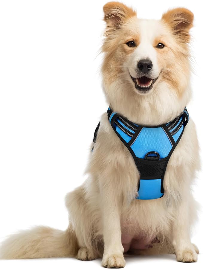 rabbitgoo Dog Harness No Pull with 2 Leash Clips, Adjustable Soft Padded, Reflective Oxford No Choke Pet Vest with Easy Control Handle for Medium Sized Dogs, Blue, M-Mewly Pet