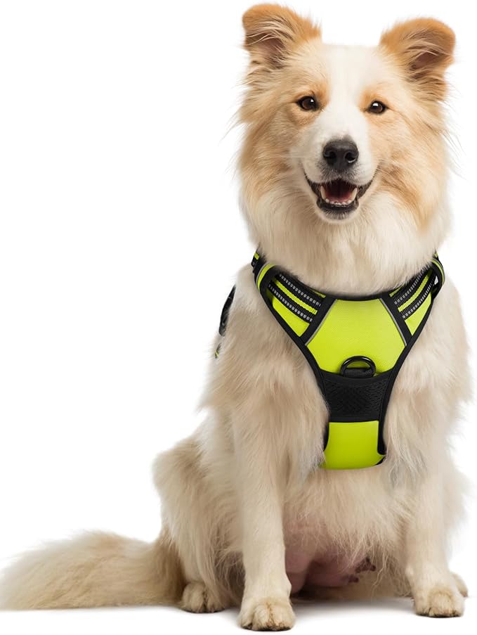 rabbitgoo Dog Harness No Pull with 2 Leash Clips, Adjustable Soft Padded, Reflective Oxford No Choke Pet Vest with Easy Control Handle for Medium Sized Dogs, Green, M-Mewly Pet