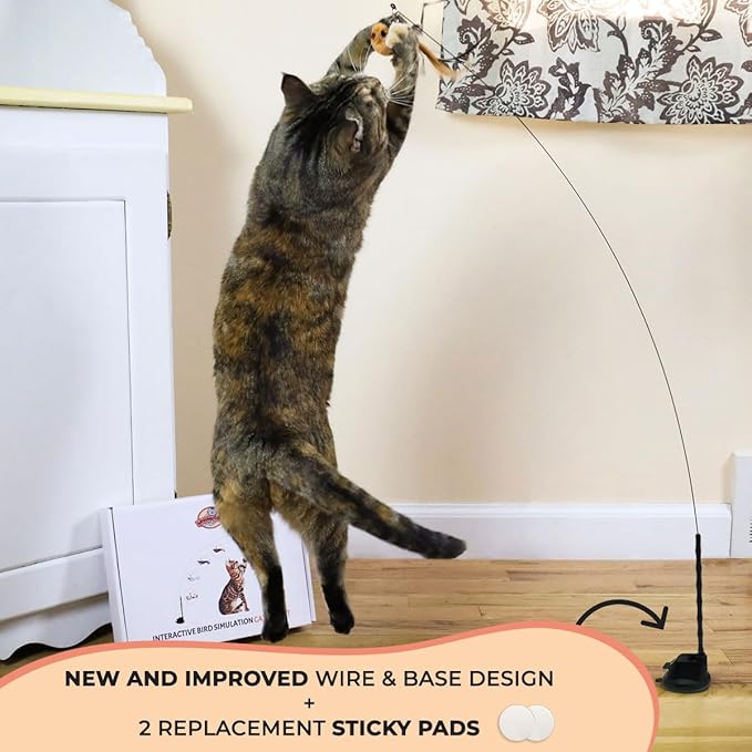 Interactive Bird Simulation Cat Toy Set, Interactive Cat Toy for Indoor Cats, Cat Feather Toy, Suction Cup, Weighted Base, 5 Replacement Birds, Feathers & Bells, Realistic Bird Impression-Mewly Pet