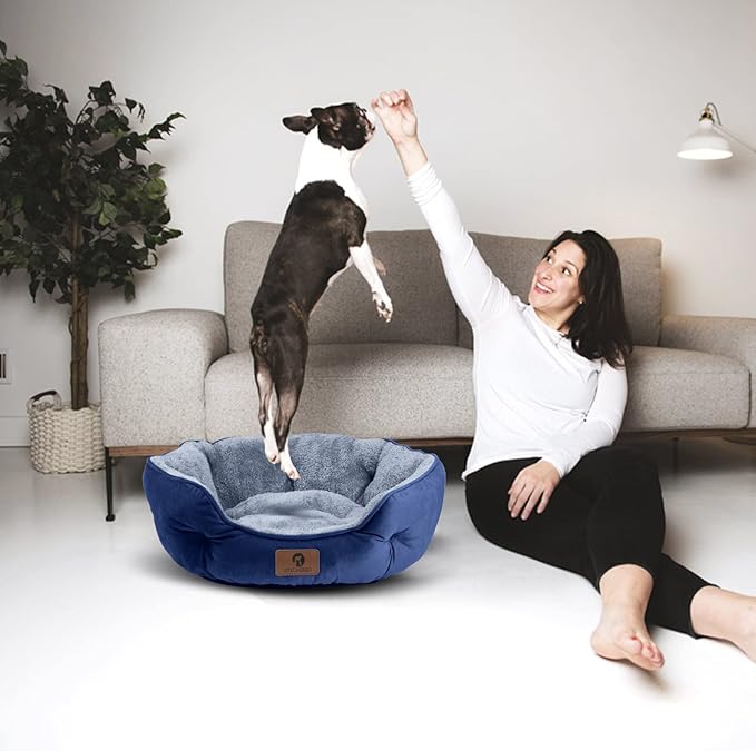 Asvin Small Dog Bed for Small Dogs, Cat Beds for Indoor Cats, Pet Bed for Puppy and Kitty, Extra Soft & Machine Washable with Anti-Slip & Water-Resistant Oxford Bottom, Blue, 20 inches-Mewly Pet