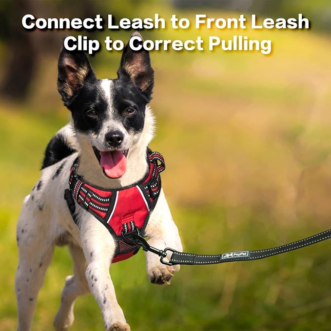 PoyPet No Pull Dog Harness, No Choke Front Clip Reflective Dog Vest with Soft Padded Vertical Handle, 3 Leash Attachments for Small Medium Large Dogs (Red,L)-Mewly Pet