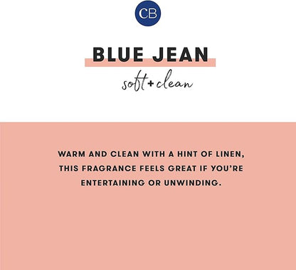 Capri Blue Reed Diffuser - Comes with Blue Jean Scented Diffuser Oil, Diffuser Sticks, and Mercury Iridescent Glass Bottle - Aromatherapy Diffuser (5.7 fl oz)